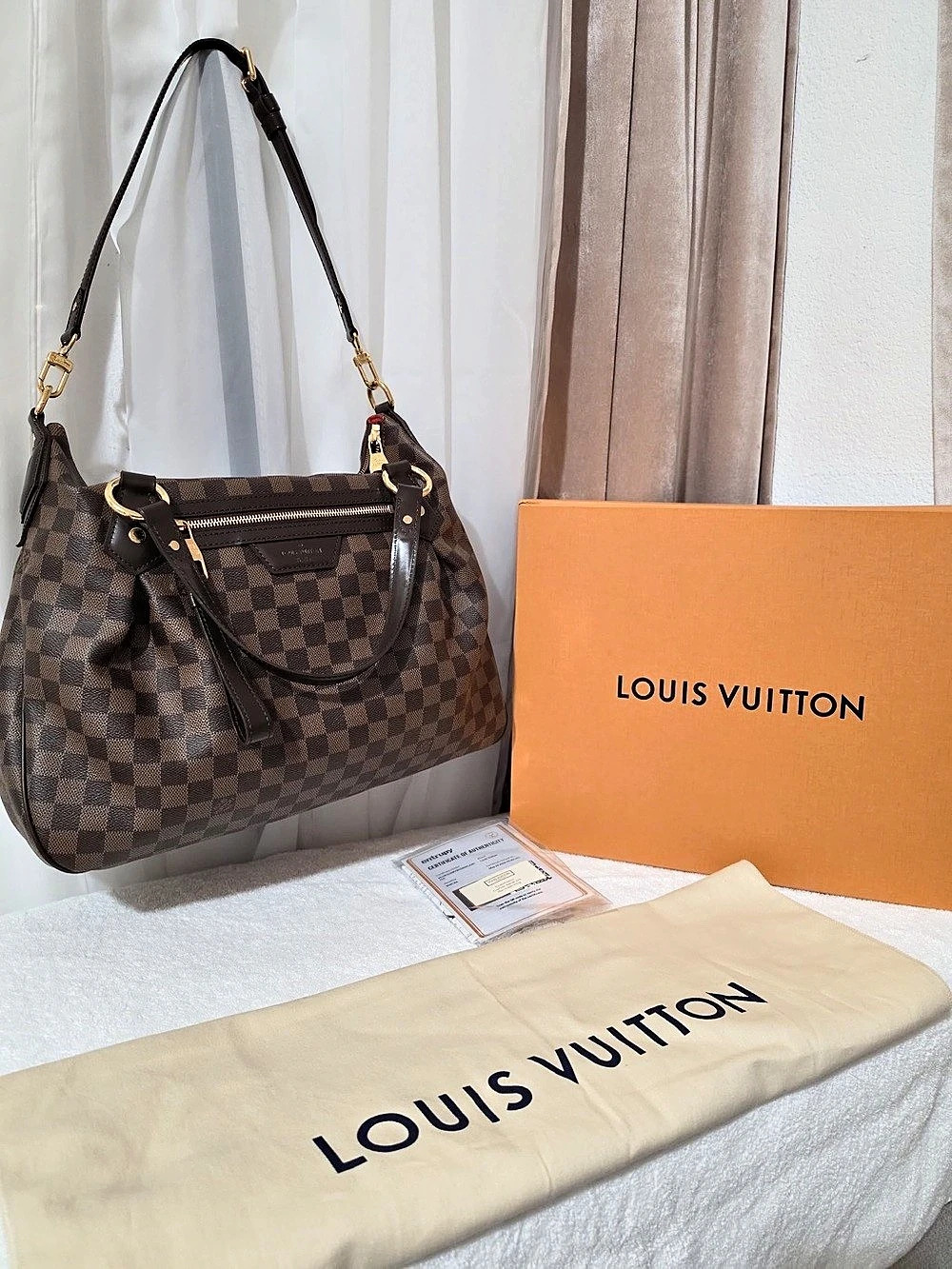 Louis Vuitton Damier Ebene Evora Handbag -